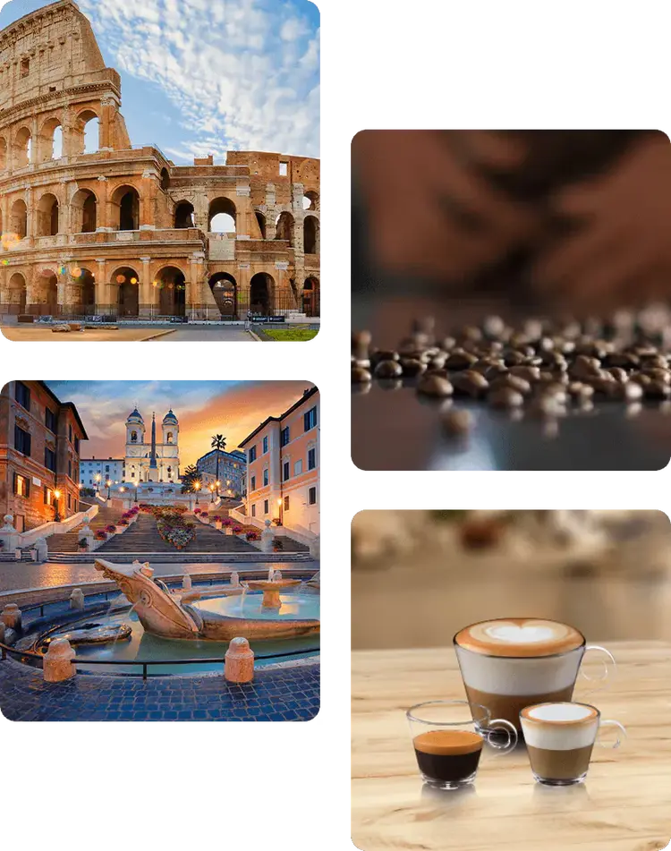 Roma support image